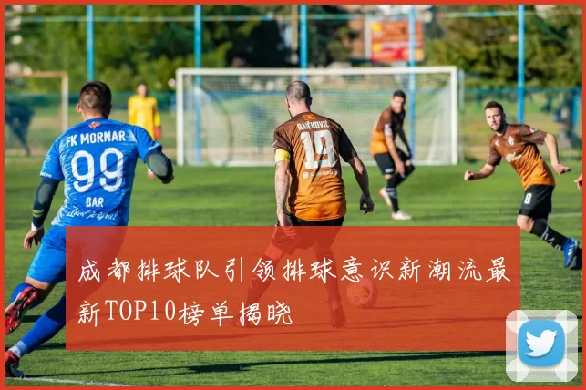 成都排球队引领排球意识新潮流最新TOP10榜单揭晓