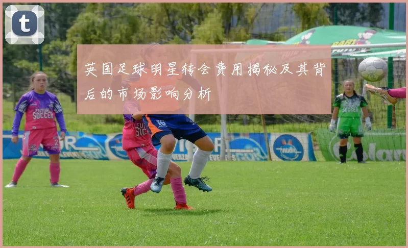 英国足球明星转会费用揭秘及其背后的市场影响分析