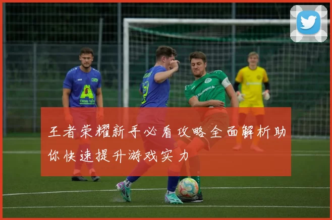 王者荣耀新手必看攻略全面解析助你快速提升游戏实力