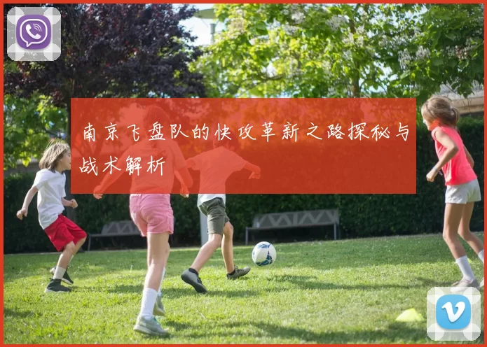 南京飞盘队的快攻革新之路探秘与战术解析