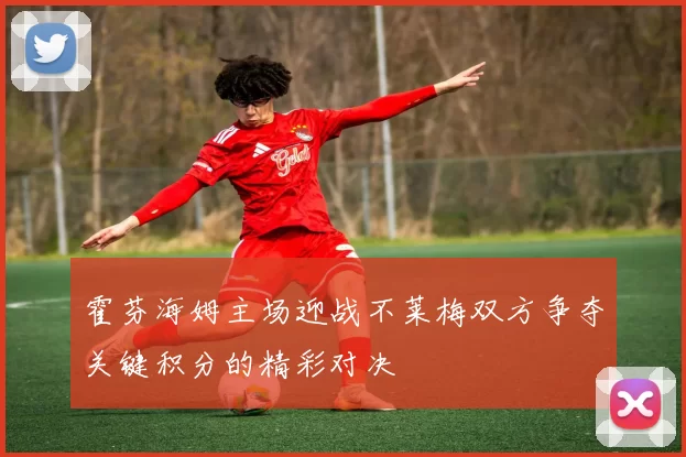 霍芬海姆主场迎战不莱梅双方争夺关键积分的精彩对决