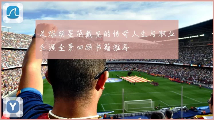 足球明星范戴克的传奇人生与职业生涯全景回顾书籍推荐