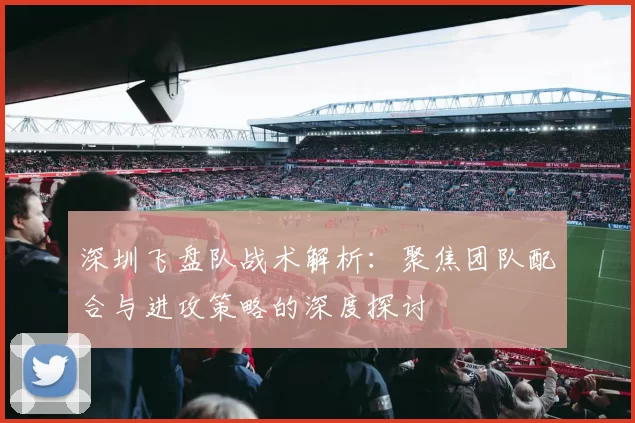 深圳飞盘队战术解析：聚焦团队配合与进攻策略的深度探讨