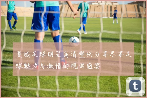 曼城足球明星高清壁纸分享尽享足球魅力与激情的视觉盛宴