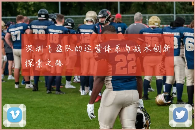 深圳飞盘队的运营体系与战术创新探索之路