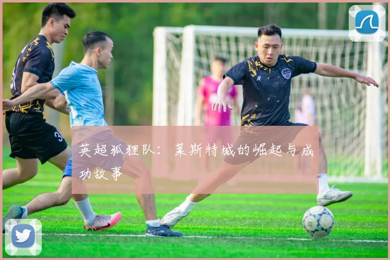 英超狐狸队：莱斯特城的崛起与成功故事