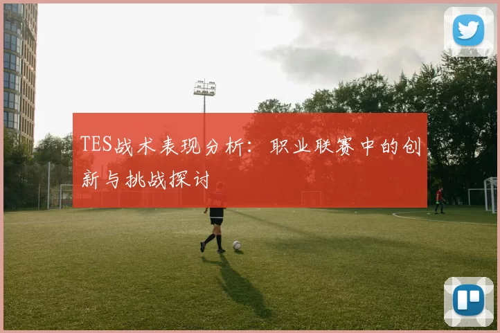TES战术表现分析：职业联赛中的创新与挑战探讨