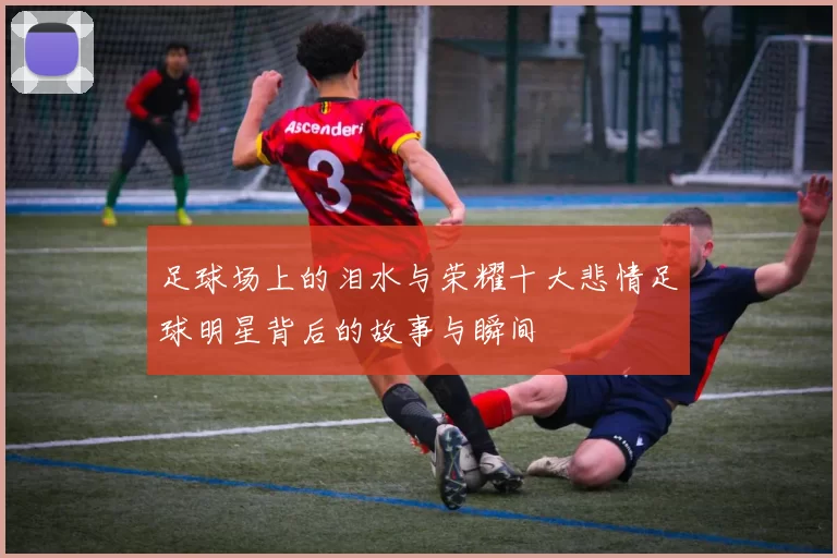 足球场上的泪水与荣耀十大悲情足球明星背后的故事与瞬间