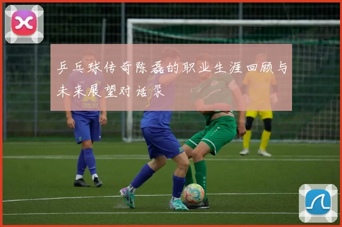 乒乓球传奇陈磊的职业生涯回顾与未来展望对话录