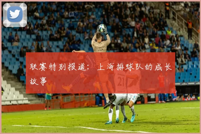 联赛特别报道：上海排球队的成长故事