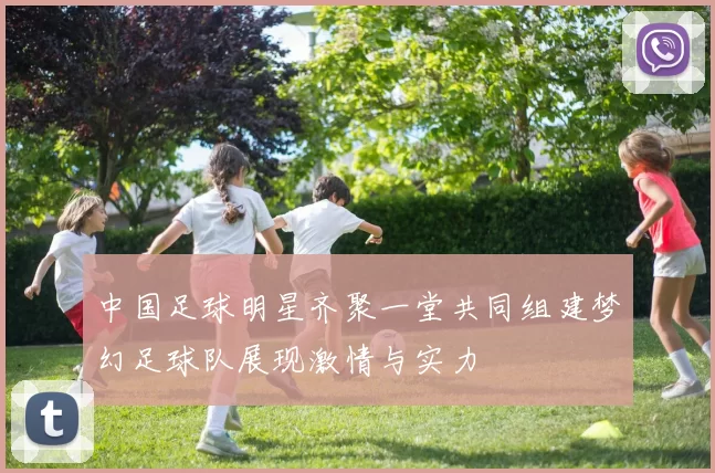 中国足球明星齐聚一堂共同组建梦幻足球队展现激情与实力