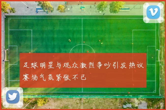 足球明星与观众激烈争吵引发热议赛场气氛紧张不已