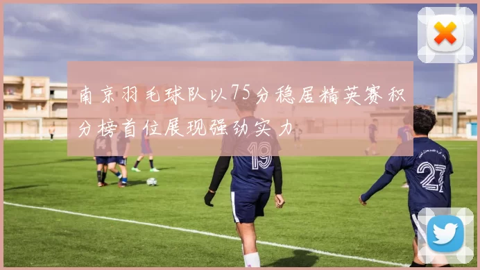 南京羽毛球队以75分稳居精英赛积分榜首位展现强劲实力