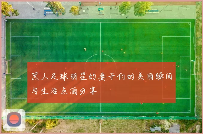 黑人足球明星的妻子们的美丽瞬间与生活点滴分享
