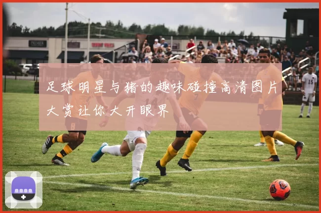 足球明星与猪的趣味碰撞高清图片大赏让你大开眼界