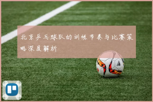 北京乒乓球队的训练节奏与比赛策略深度解析