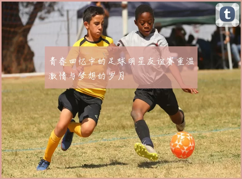 青春回忆中的足球明星友谊赛重温激情与梦想的岁月