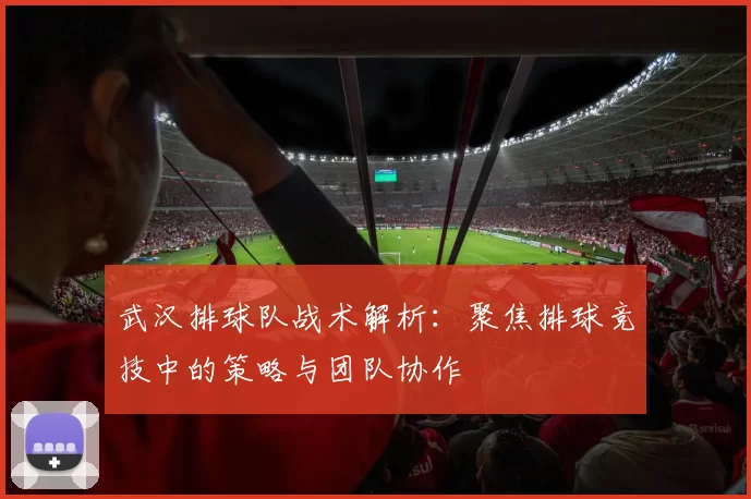 武汉排球队战术解析：聚焦排球竞技中的策略与团队协作