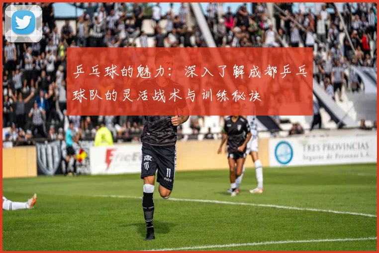乒乓球的魅力：深入了解成都乒乓球队的灵活战术与训练秘诀