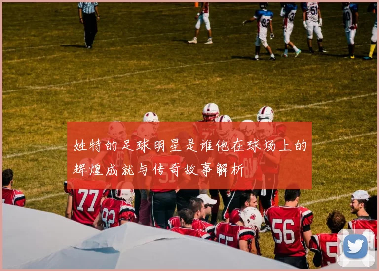 姓特的足球明星是谁他在球场上的辉煌成就与传奇故事解析