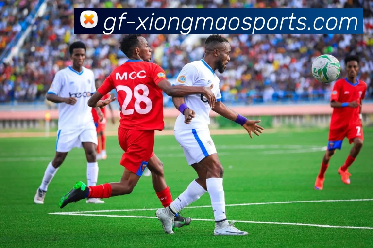 App Interface Preview